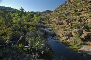 Gaan Canyon, as it currently flows. This clean source of freshwater could become polluted if the mine is built. 